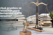 qué evidencia necesito para una demanda