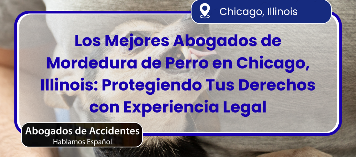 Los Mejores Abogados de Mordedura de Perro en Chicago, Illinois: Protegiendo Tus Derechos con Experiencia Legal